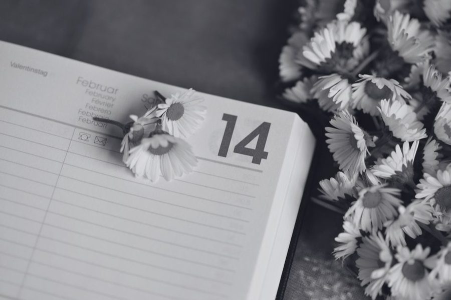 Caderno com anotações de rega ao lado de vasos